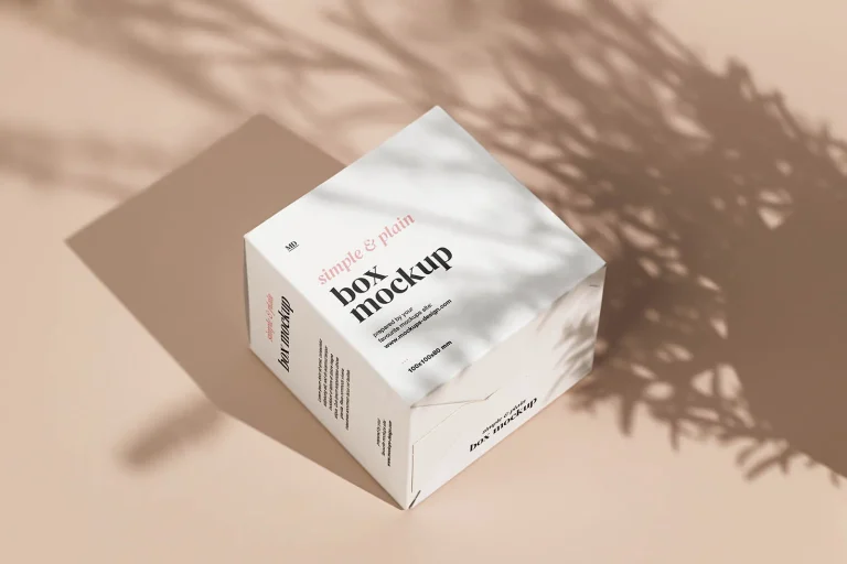 imgi_14_Lying_Box_Mockup_1