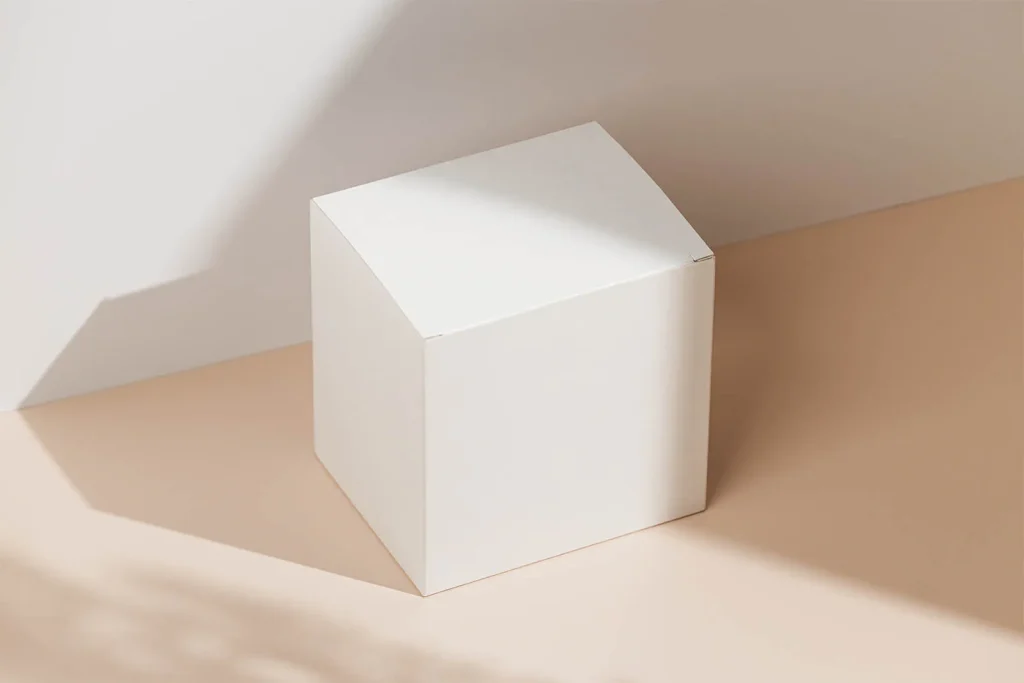 Simple box mockup Simple box mockup